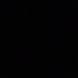 Meet your Posher, Sophia